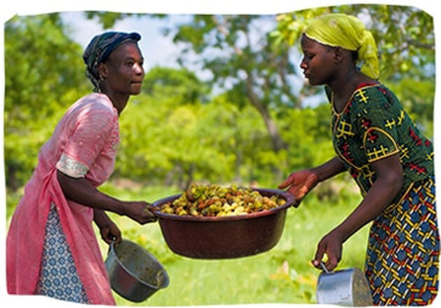 Women in Burkina Faso