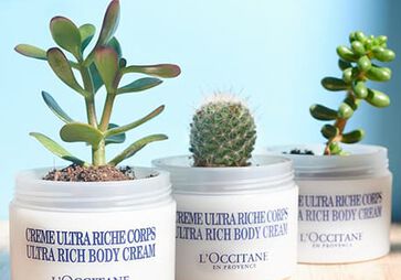 Jar Planters