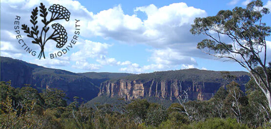 Bushfire Recovery