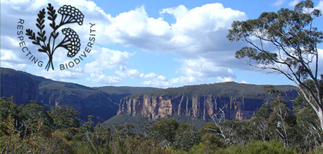 Bushfire Recovery