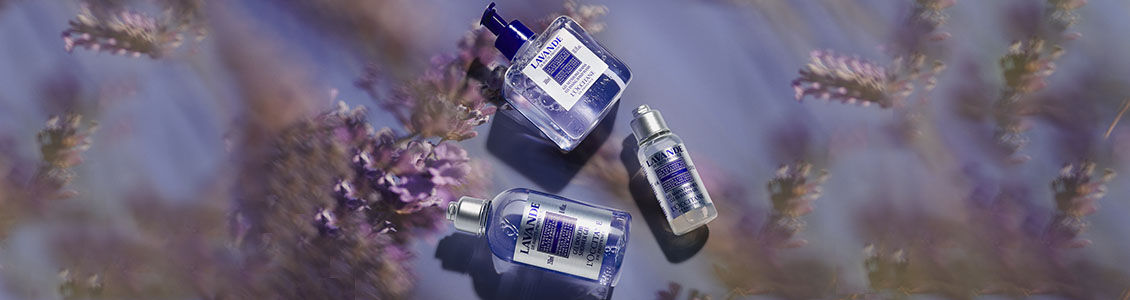Lavender Collection, French Lavender, Lavender Oil, Haute-Provence, High Altitude, Protected Designation of Origin, Aromatic, Lavender Shower Gel, Lavender Cleansing Hand Wash, Lavender Hand Sanitiser