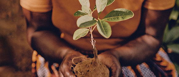 Our Sustainability Commitments