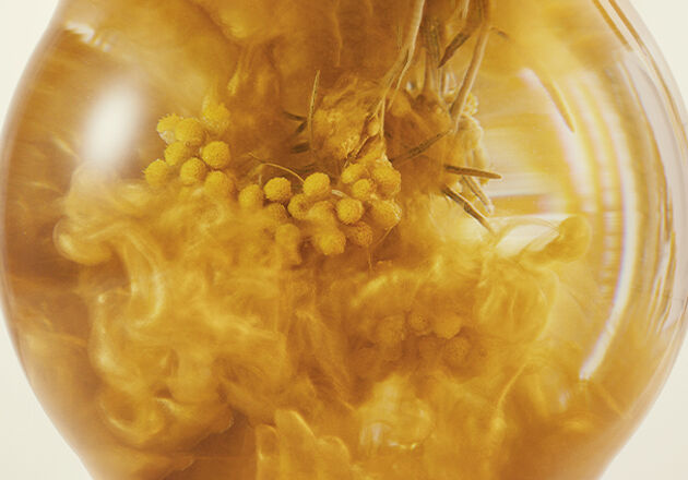 Plant Ingredients