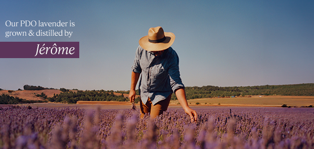 Meet Our Lavender Producer