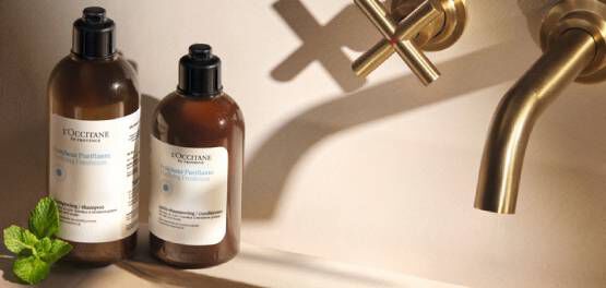 A person holding the L'OCCITANE Aromachologie Purifying Freshness Scalp Scrub