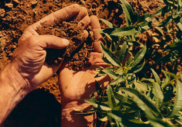 Traceability
