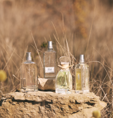 L’OCCITANE & PIERRE HERMÉ 86 Champs Fig & Rose Eau de Parfum, L'OCCITANE Verbena Eau de Toilette, L'OCCITANE Néroli & Orchidée Eau de Toilette, L'OCCITANE Cherry Blossom Eau de Toilette, Herbae par L'OCCITANE Eau de Parfum, Herbae par L'OCCITANE L'Eau Eau de Toilette
