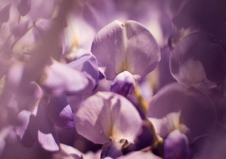 Glycine Ingredients