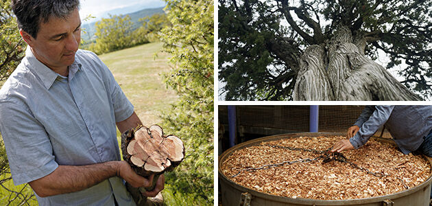 Our Inspirational Producer of Cade Michael Comte, Cade Wood, Ard&egrave;che Regional Natural Park, Respecting Biodiversity, Celebrating Craftsmanship 