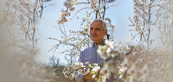 Jean Pierre Jaubert, Our Inspirational Almond Producer, Valensole Plateau Almonds, Reviving Tradition, Respecting Biodiversity, Supporting Producers