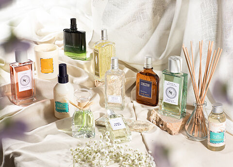 Shop Fragrances & Home
