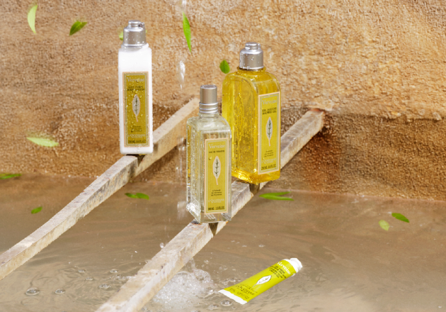 L'OCCITANE Classic Verbena Eau de Toilette, L'OCCITANE Classic Verbena Shower Gel, L'OCCITANE Classic Verbena Body Milk, L'OCCITANE Verbena Deodorant Balm, L'OCCITANE Organic Verbena from Provence, Fair Trade