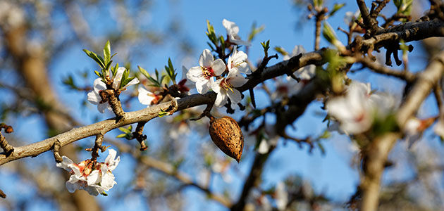 Next Generation, Continuing Tradition, Local Sourcing, Organic, Natural, Sustainable, Protecting Nature, Respecting Biodiversity 