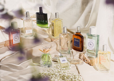 Shop All Fragrances 