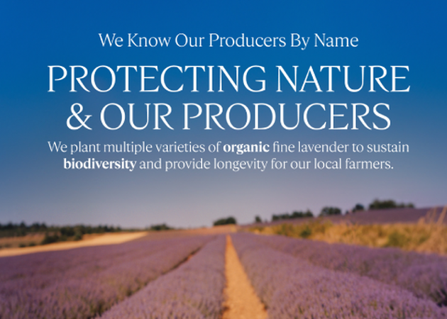 Organic Lavender From Provence 