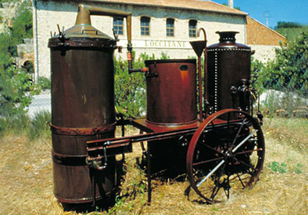 L'OCCITANE heritage harvester, Distillation of Lavender Essential OIl, Provence