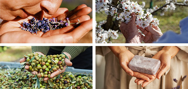 The Art of Soap Making, Natural Soap Bars, Ingredients, Freshly Picked Olives, Blossoming Cherry Blossom Trees, Freshly Picked French Lavender, Lavender Relaxing Exfoliating Body Soap, Respecting Biodiversity, Reducing Waste, Sustainable, Caring for the Environment Natural, Fair Trade