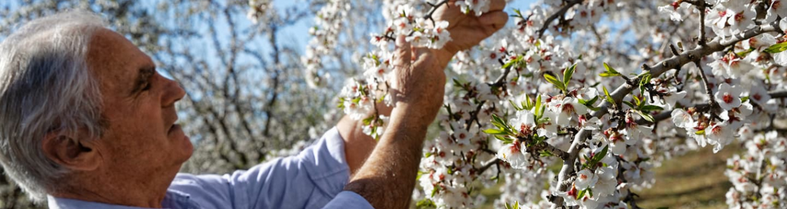 Jean Pierre Jaubert, Our Inspirational Almond Producer, Valensole Plateau Almonds, L'OCCITANE Partnership, Respecting Biodiversity, Supporting Producers