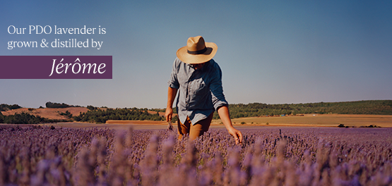 Meet Our Lavender Producer