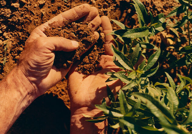 Traceability