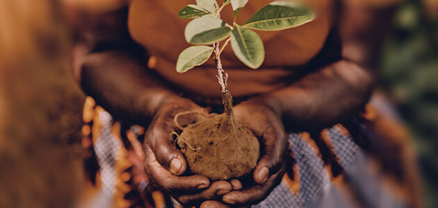 A STORY OF GENEROSITY
