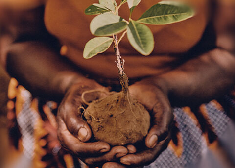 Respecting Biodiversity