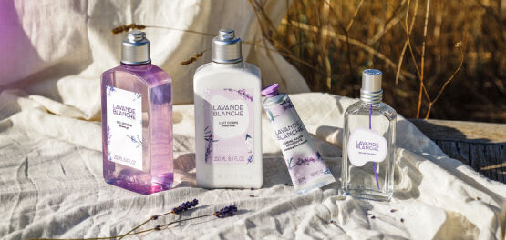 L'Occitane Lavande Blanche - Set (b/milk/250ml + sh/gel/250ml + h/cr/30ml)  | MAKEUP
