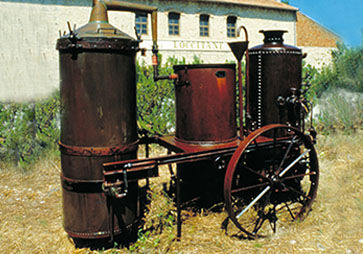 L'OCCITANE heritage harvester, Distillation of Lavender Essential OIl, Provence