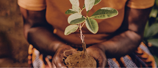 Our Sustainability Commitments