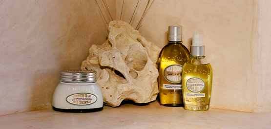 Discover The Almond Collection 