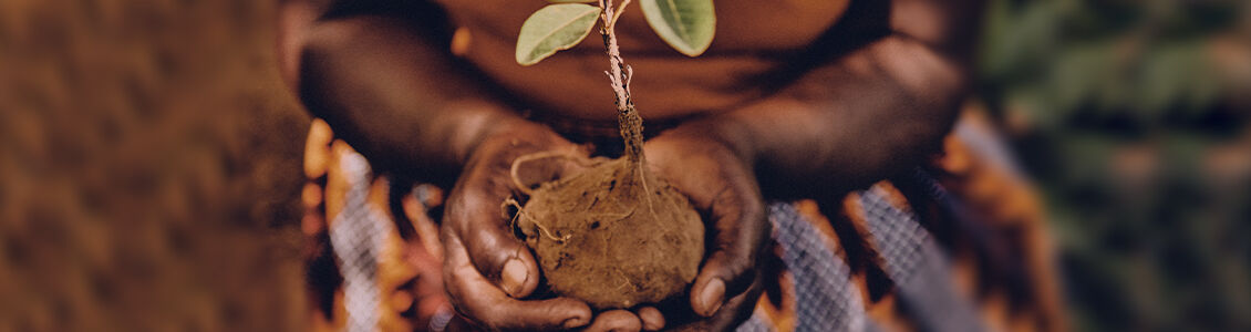 A STORY OF GENEROSITY
