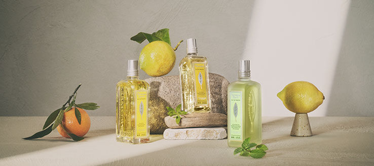 Verbena, Verbena Collections, Classic Verbena, Citrus Verbena, Mint Verbena, Eau de Toilette, Body Care, Hair Care, Fragrance