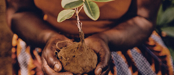 Respecting Biodiversity
