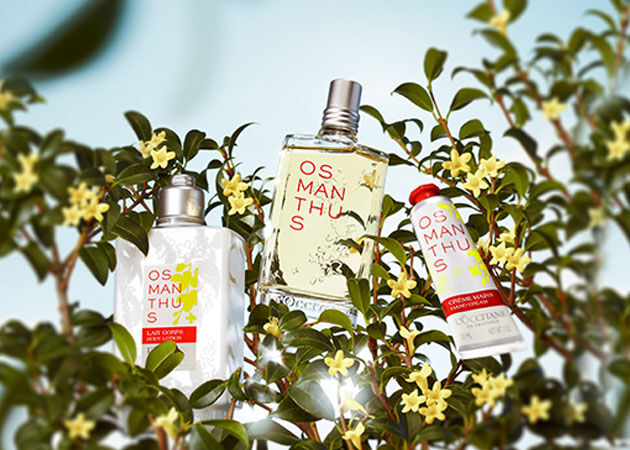 Osmanthus outlet perfume hermès