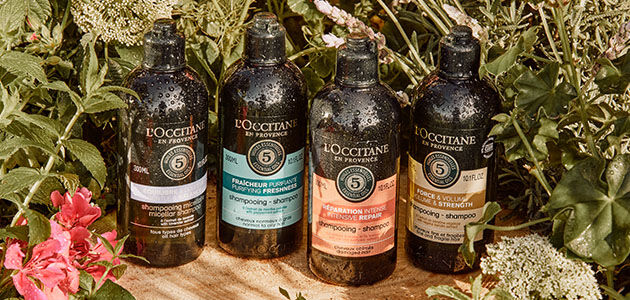 5 Essential Oils Collection Natural Essential Oils for Hair L