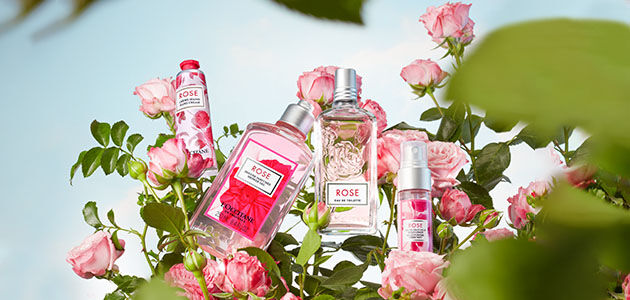 Perfume rose hotsell loccitane