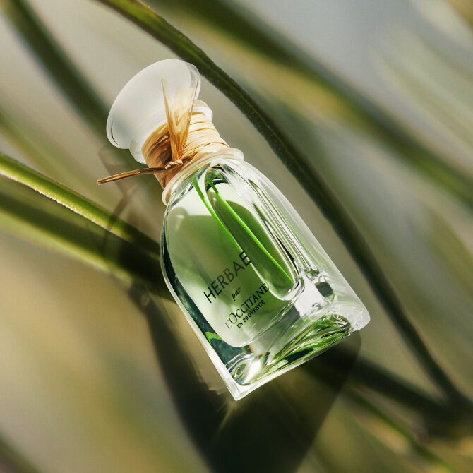Perfume herbae loccitane new arrivals