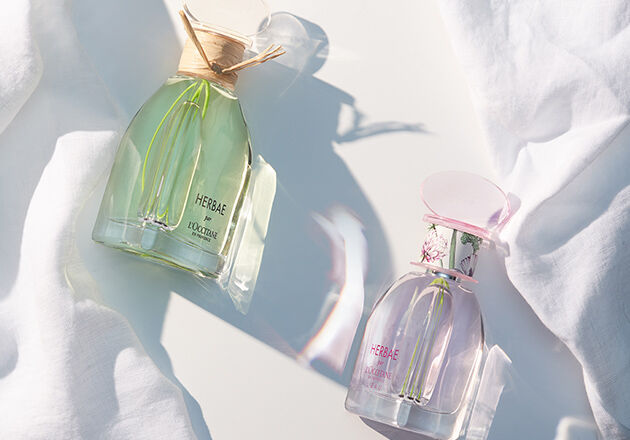 Women's Natural Fragrances & Perfumes | L'OCCITANE UK