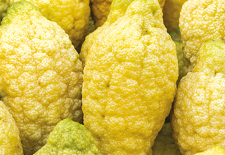 Cedrat Ingredient