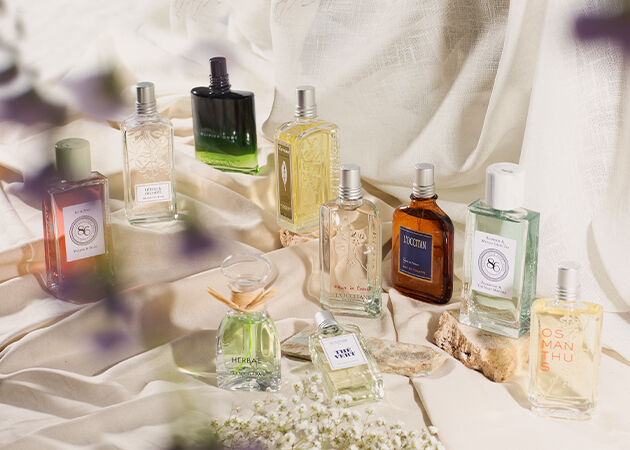 Shop All Fragrances 