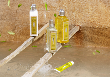 L'OCCITANE Classic Verbena Eau de Toilette, L'OCCITANE Classic Verbena Shower Gel, L'OCCITANE Classic Verbena Body Milk, L'OCCITANE Verbena Deodorant Balm, L'OCCITANE Organic Verbena from Provence, Fair Trade