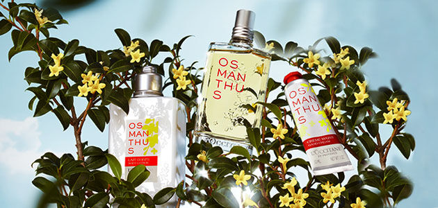 Best osmanthus top perfume