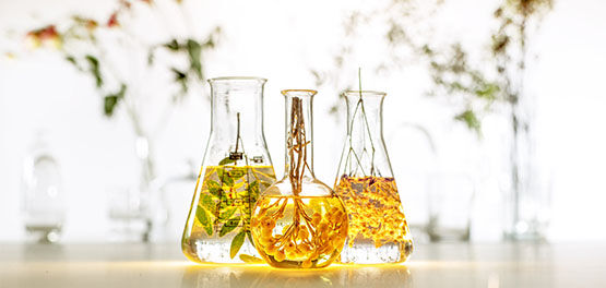 The image shows 3 scientific containers filled with herbs and essential oils