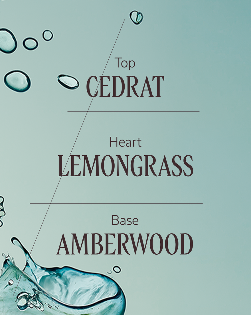 view 3/3 of C&eacute;drat Fragrance Collection, , RECT