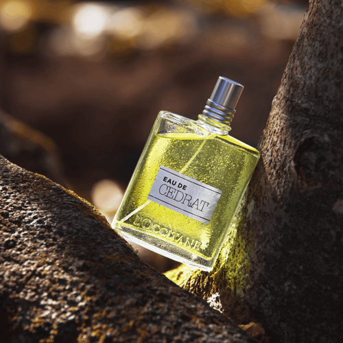 L'Occitan Eau de Toilette・CEDRAT 2本セット Eau de Cédrat Eau de Toilette | L'Occitane en Provence