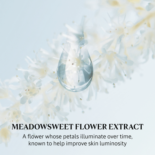 Reine Blanche Illuminating Serum 30ml L'OCCITANE UK