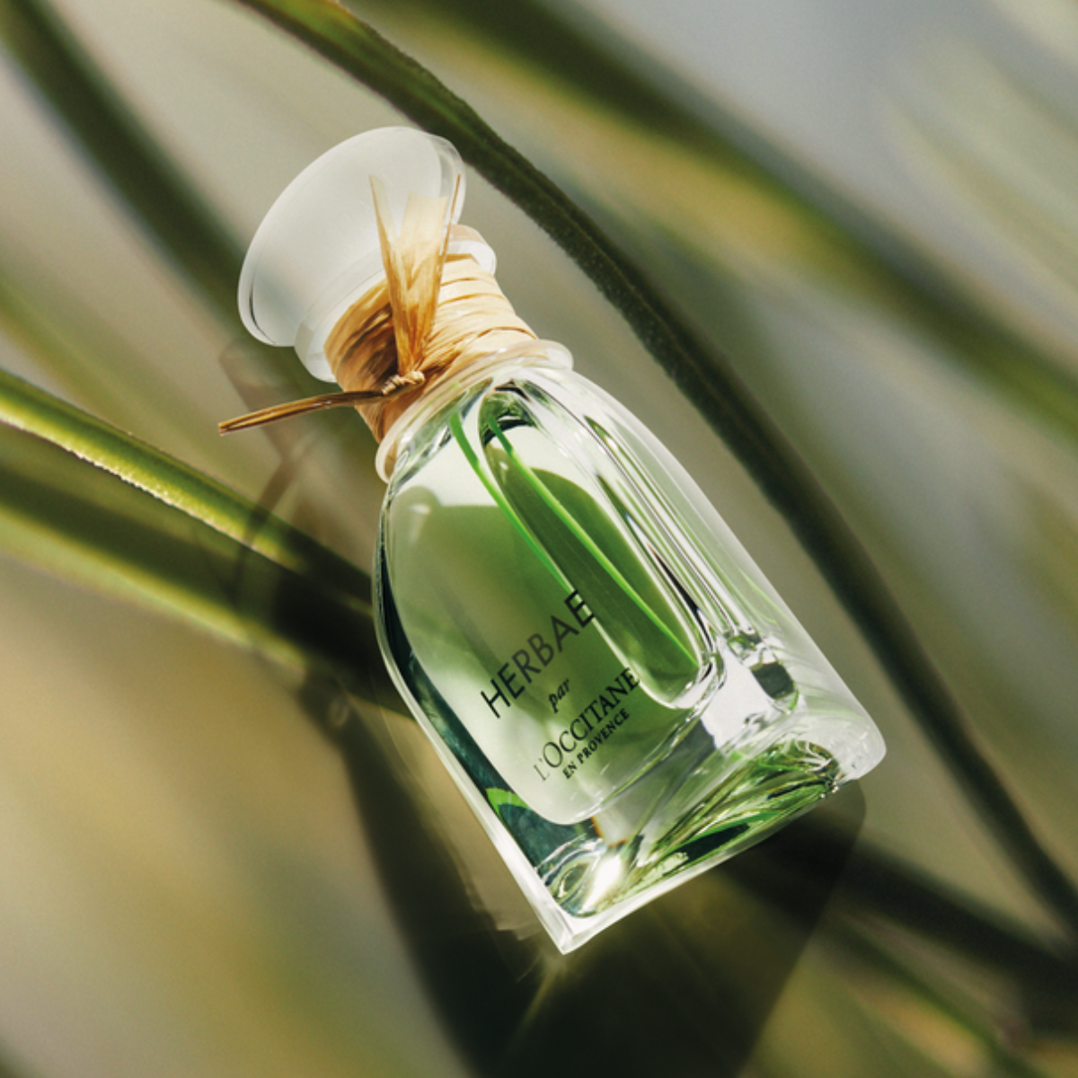 L'OCCITANE HERBAE ユニセックス香水