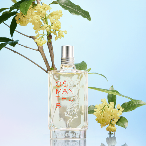 Osmanthus Eau de Toilette | L'OCCITANE UK