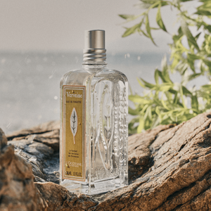 the difference between eau de toilette and eau de parfum L OCCITANE UK