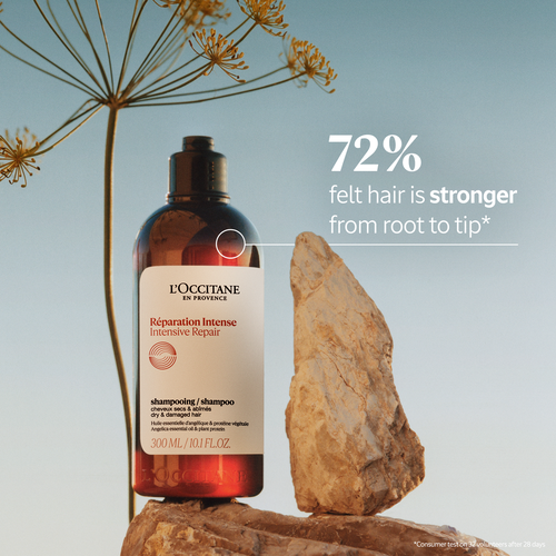 Intensive Repair Shampoo - 500 ml | L'Occitane MY